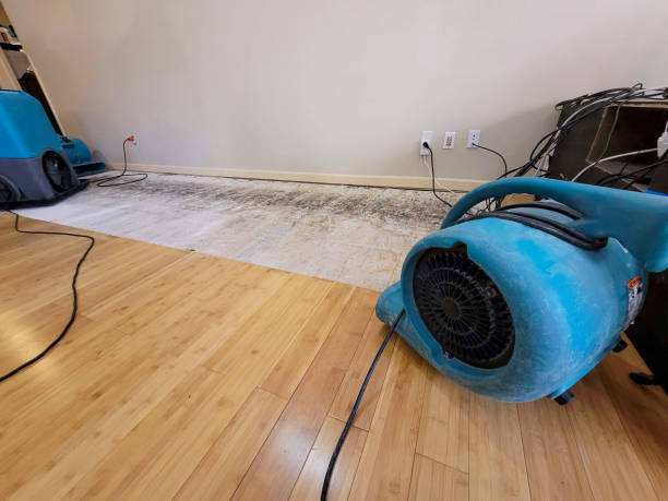 Professional Water Removal technician working in Forest, OH